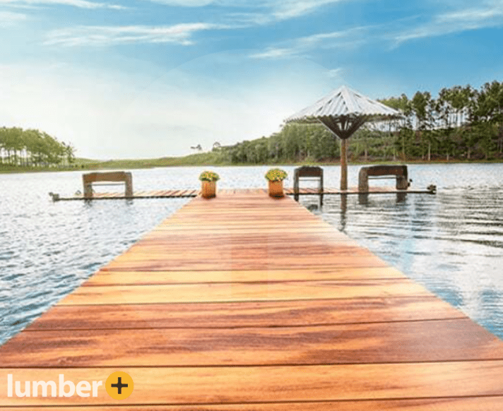 A beautiful Tigerwood deck and pier on a lake. 