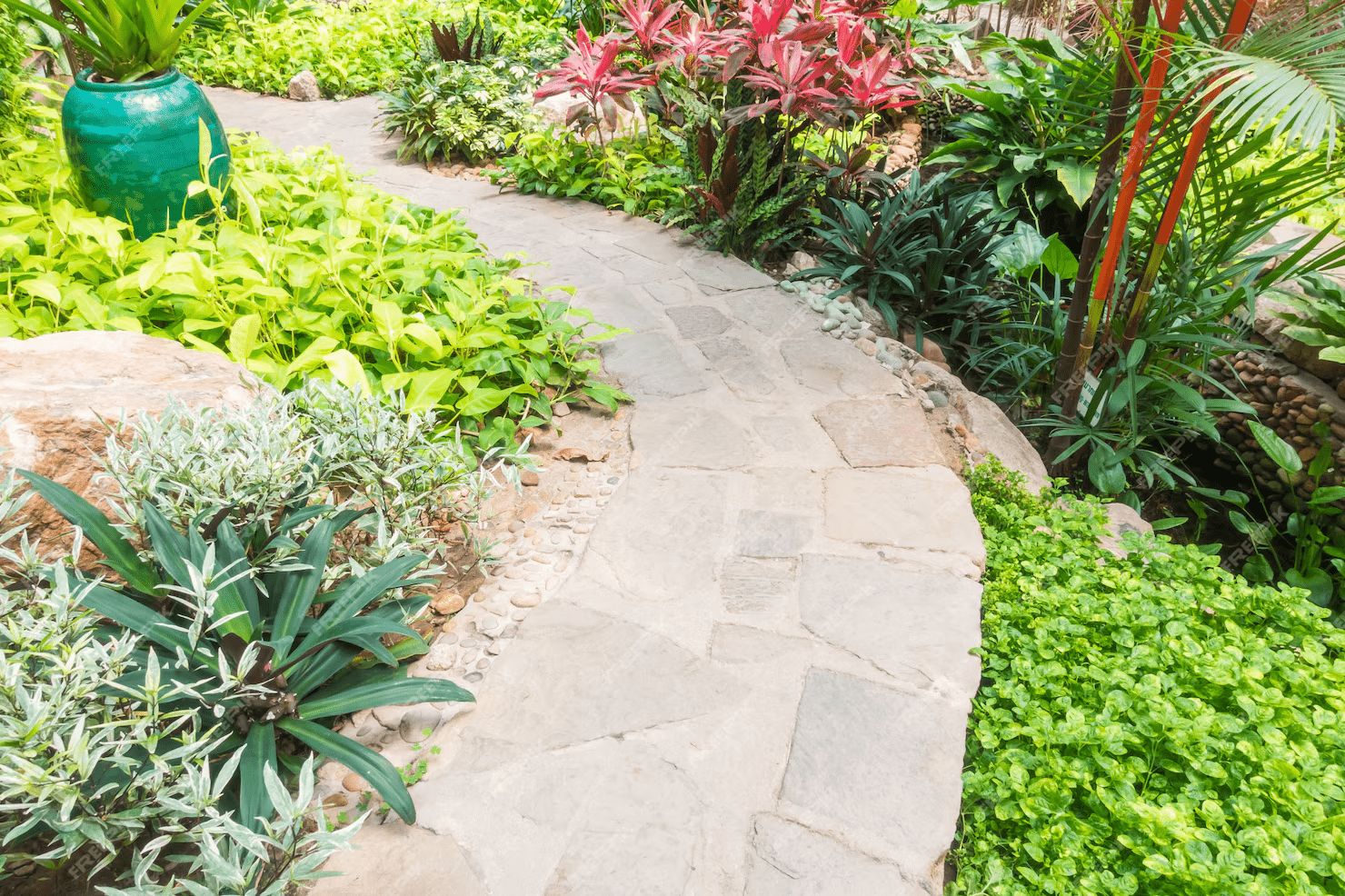 Stone pathway through a lush backyard garden.