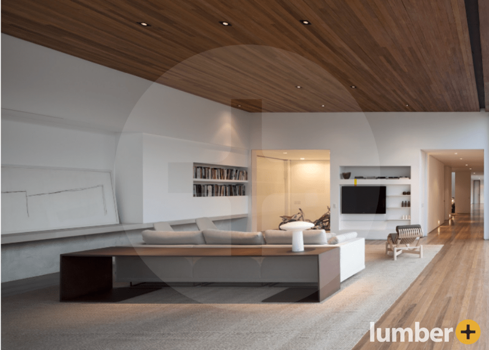 Contemporary living space with built-in shelving and wooden ceiling.